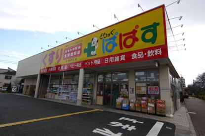 どらっぐぱぱす 赤塚新町店の画像1
