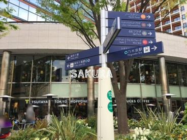 TSUTAYA東京六本木店の画像1