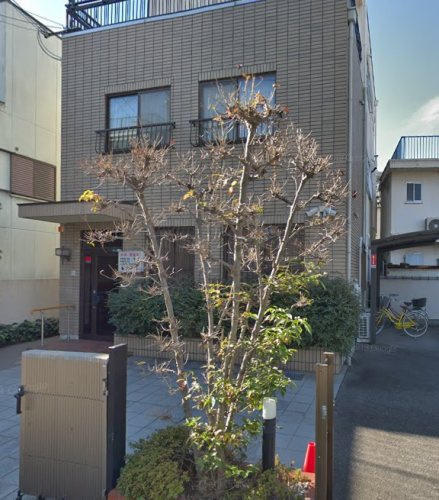 の画像