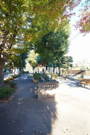 旧呑川緑地の画像1