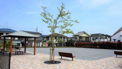 ふじみ野市/苗間みほの公園の画像2