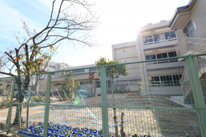 尼崎市立　大島小学校の画像1