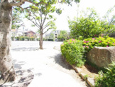 北沢公園