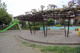 富士公園の画像