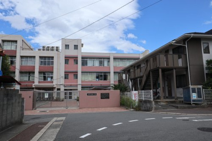 八尾市立志紀小学校の画像1