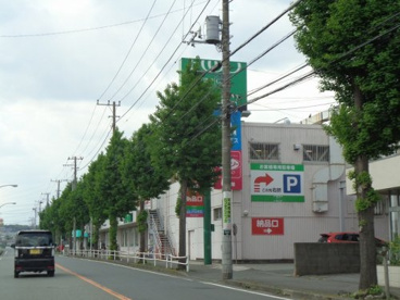 フードワンの画像1