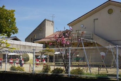 中央保育園の画像1