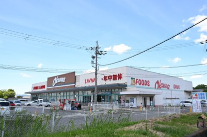 オークワ天理南店の画像1