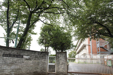 国立市立国立第三中学校の画像1