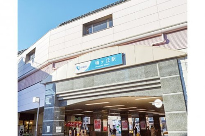 梅ヶ丘駅の画像1