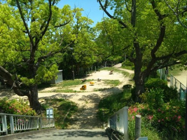東大池公園の画像1