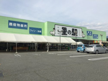 里の駅いちのみや