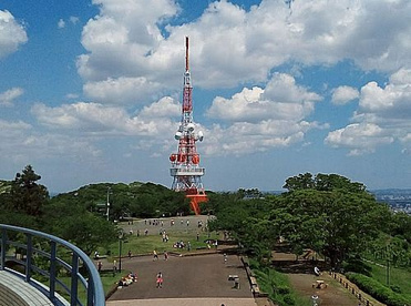 湘南平(高麗山公園)の画像1