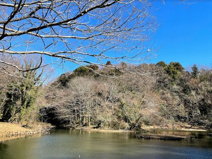 県立座間谷戸山公園