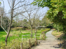 いまいずみほたる公園