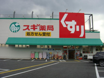 ドラッグストア スギ薬局 福生店