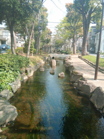 新小岩親水公園の画像1