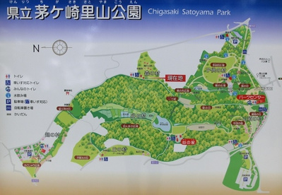 神奈川県立茅ヶ崎里山公園の画像3