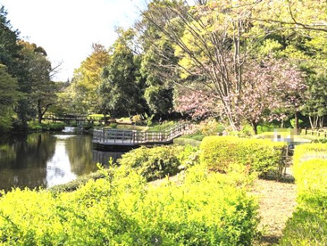 道保川公園の画像1