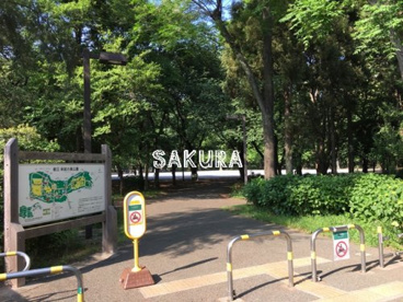 林試の森公園の画像1