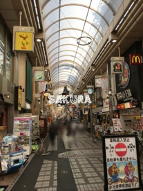 武蔵小山商店街palmの画像1