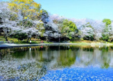 せせらぎ公園