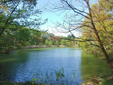 晴美公園の画像1