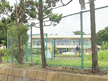 秦野市立ひろはたこども園