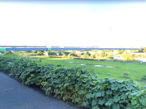 戸沢橋スポーツ広場