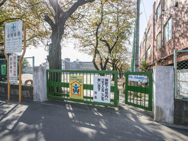 川越市/霞ヶ関南小学校の画像1