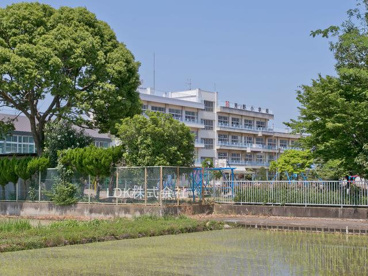川越市/芳野小学校の画像1
