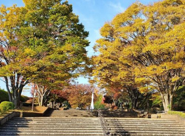 横山公園の画像1