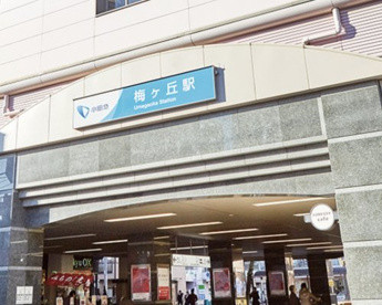 梅ヶ丘駅の画像1