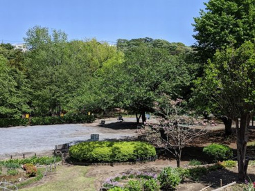 柏山公園の画像1