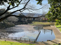 谷戸岡公園