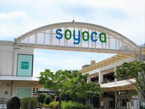 セリア/トナリエふじみ野店