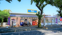 ビッグ・エー/大井亀久保店