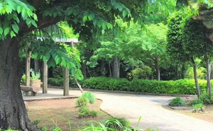 富士見市/谷津の森公園の画像2