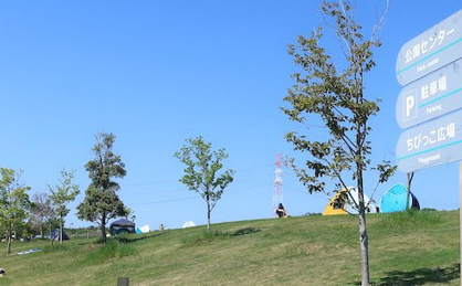 京都府立木津川運動公園の画像3