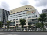 ハマボールイアス