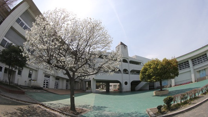 横浜市立小田小学校の画像1