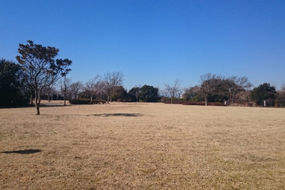 港南台さえずりの丘公園多目的広場の画像1