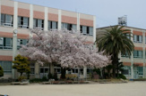 名古屋市立露橋小学校