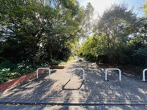 はなみずき公園