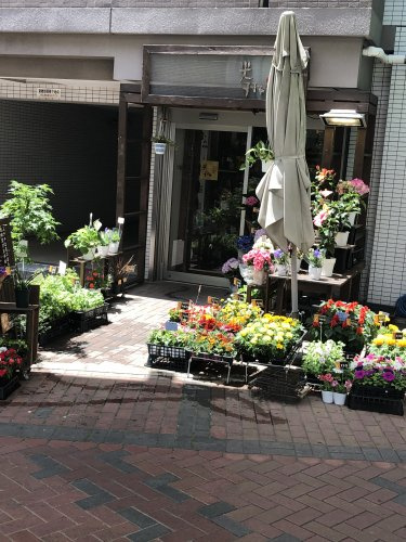 フラワーショップ光琳堂 鶴見店情報ページ 横浜市鶴見 川崎の不動産物件ならアリアにおまかせください