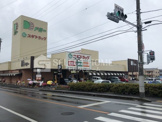 ドミー 大樹寺店