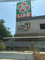 ライフ