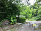 帷子川親水緑道