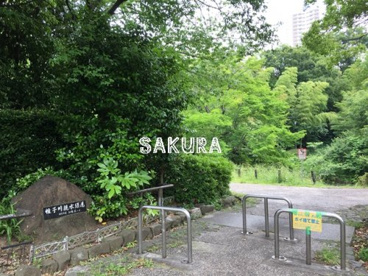 帷子川親水緑道の画像1