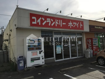 コインランドリーホワイトの画像1